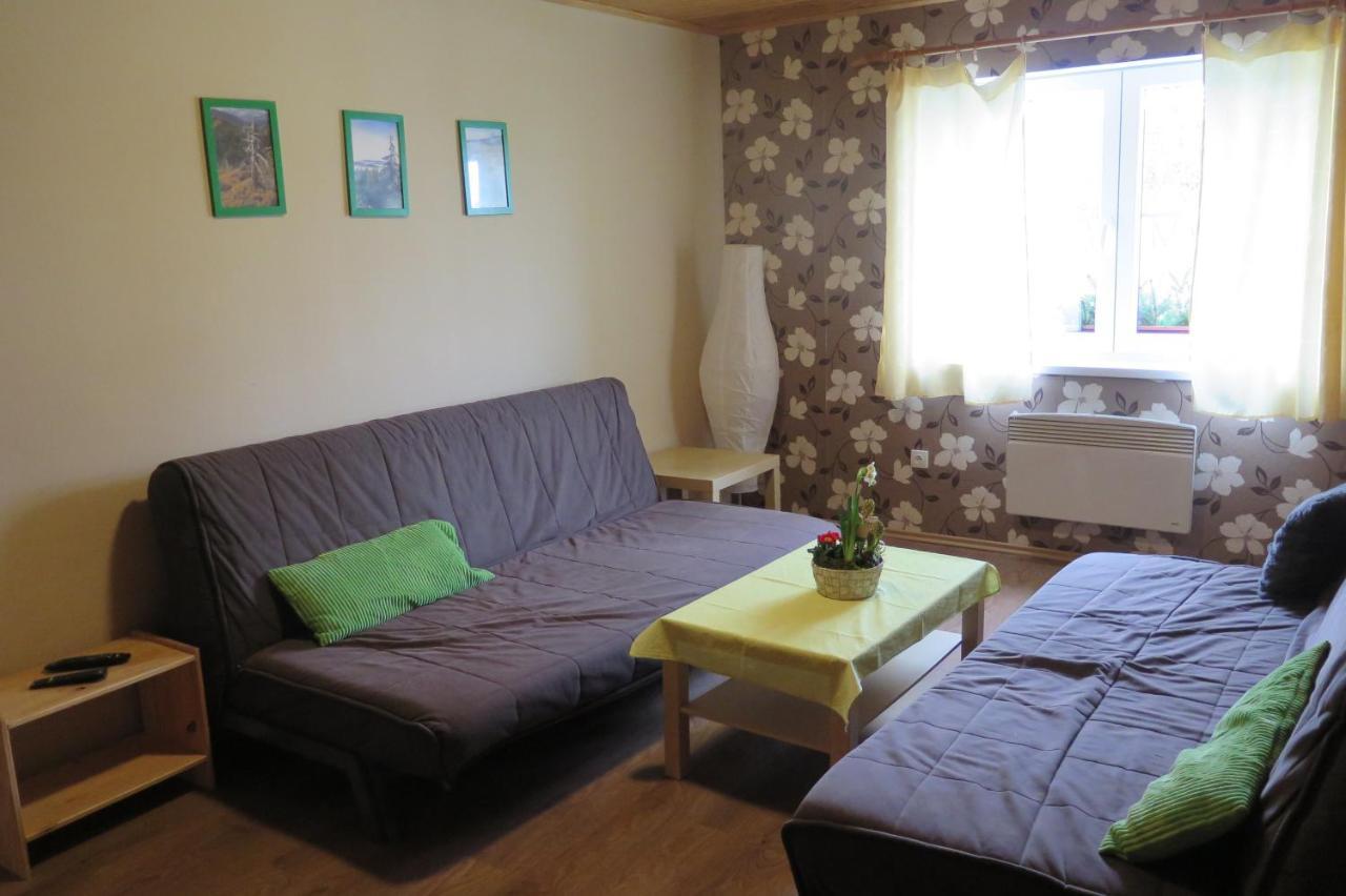 Apartments Skiareal U Vodarny Bedrichov Janov nad Nisou Bagian luar foto